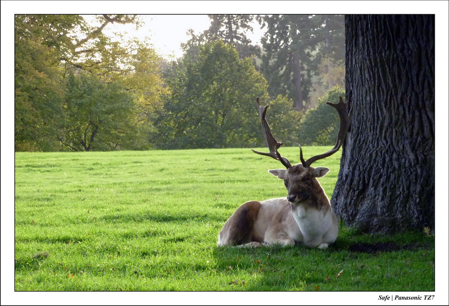 2010 - 10 - Stamford 33